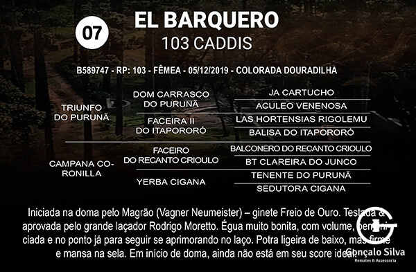 Geração EL BARQUERO 103 CADDIS