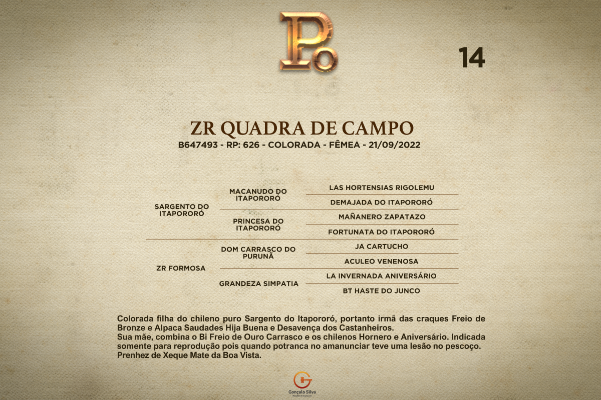 Geração ZR QUADRA DE CAMPO