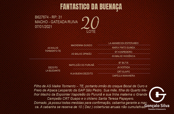 Geração FANTASTICO DA BUENAÇA