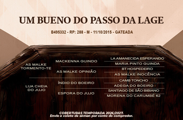 Geração Um Bueno do Passo da Lage