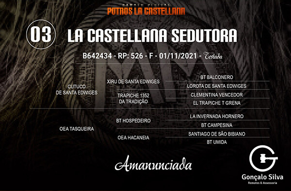 Geração LA CASTELLANA SEDUTORA