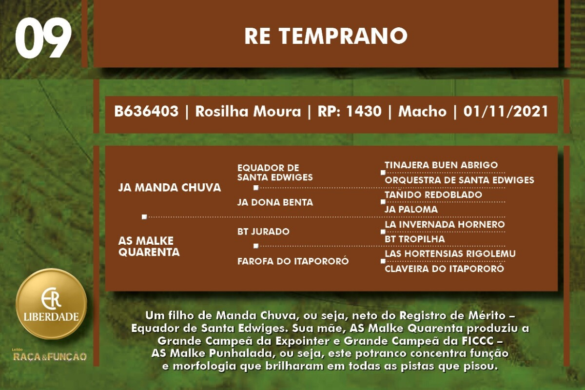 Geração RE TEMPRANO