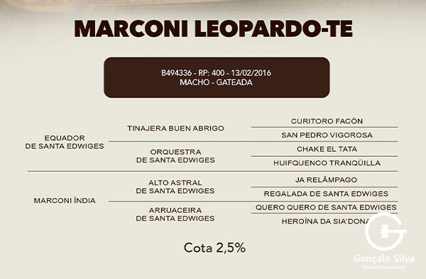 Geração COTA 2,5% MARCONI LEOPARDO -TE
