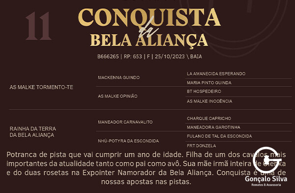 Geração CONQUISTA DA BELA ALIANÇA
