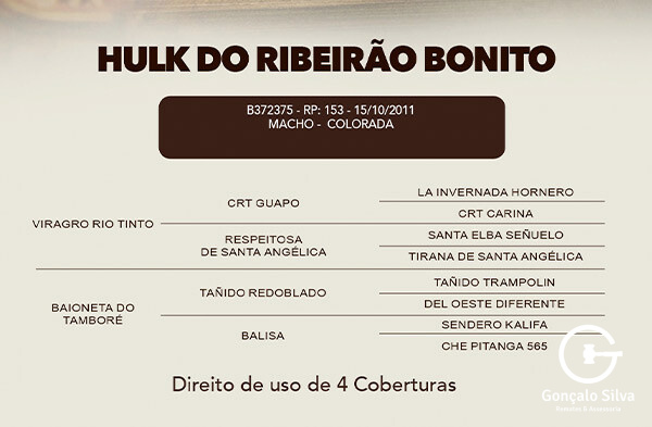 Geração DIREITO DE USO DE 4 COBERTURAS HULK DO RIBEIRAO BONITO