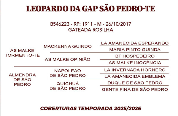 Geração LEOPARDO DA GAP SAO PEDRO - TE 