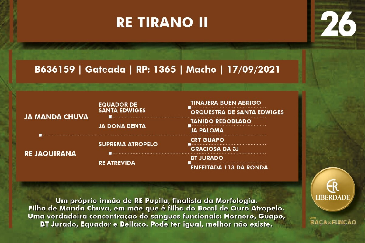 Geração RE TIRANO II
