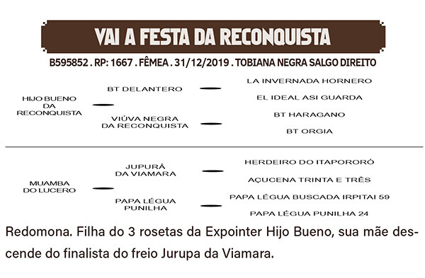 Geração VAI A FESTA DA RECONQUISTA
