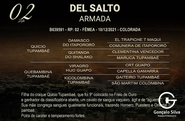 Geração DEL SALTO ARMADA