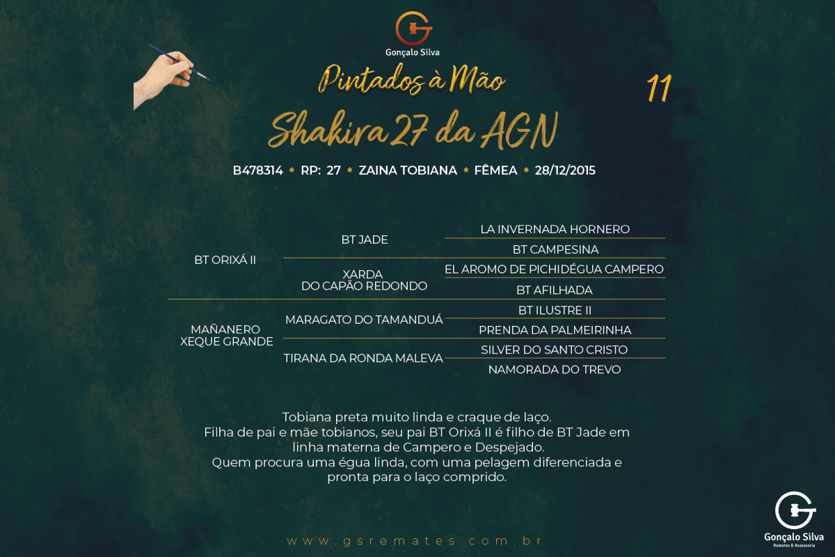 Geração SHAKIRA 27 DA AGN