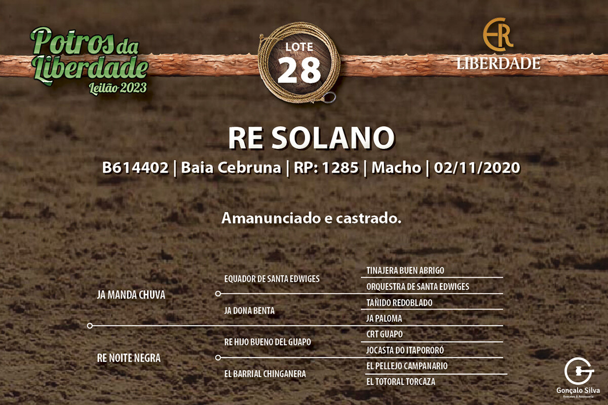 Geração RE SOLANO