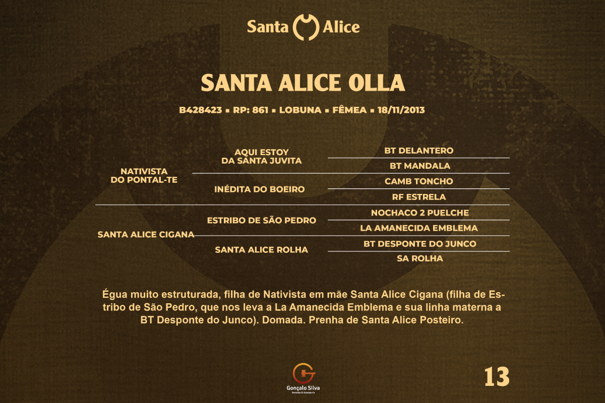 Geração SANTA ALICE OLLA