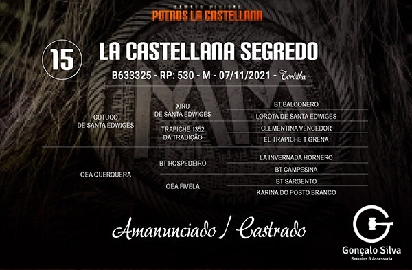 Geração LA CASTELLANA SEGREDO