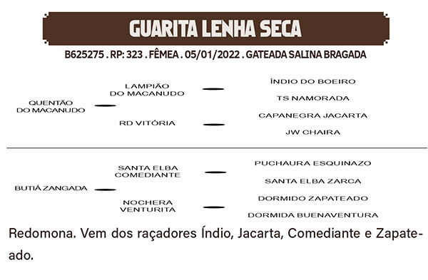 Geração GUARITA LENHA SECA