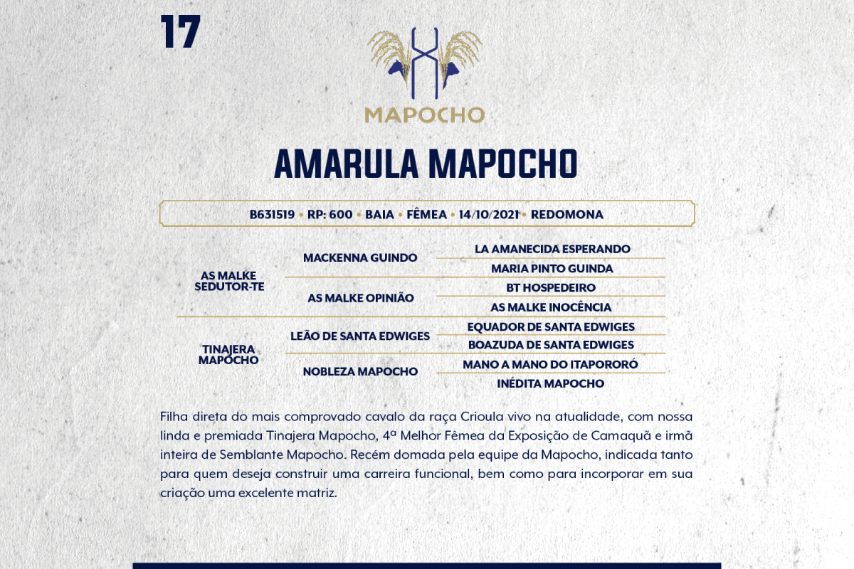 Geração AMARULA MAPOCHO