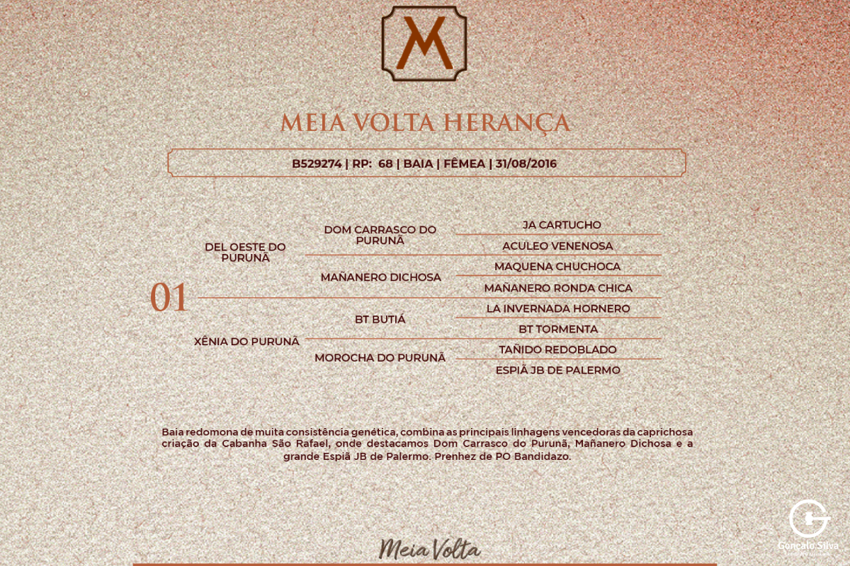 Geração MEIA VOLTA HERANÇA