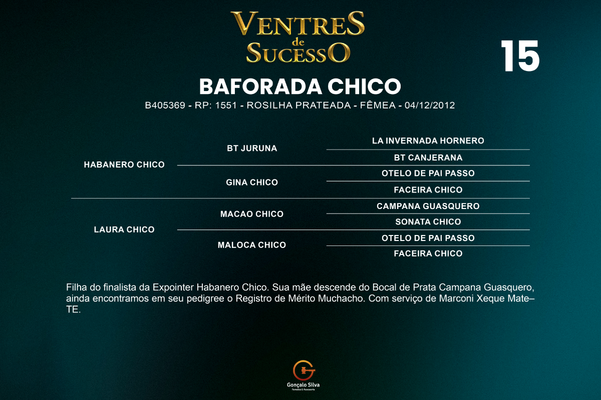 Geração BAFORADA CHICO