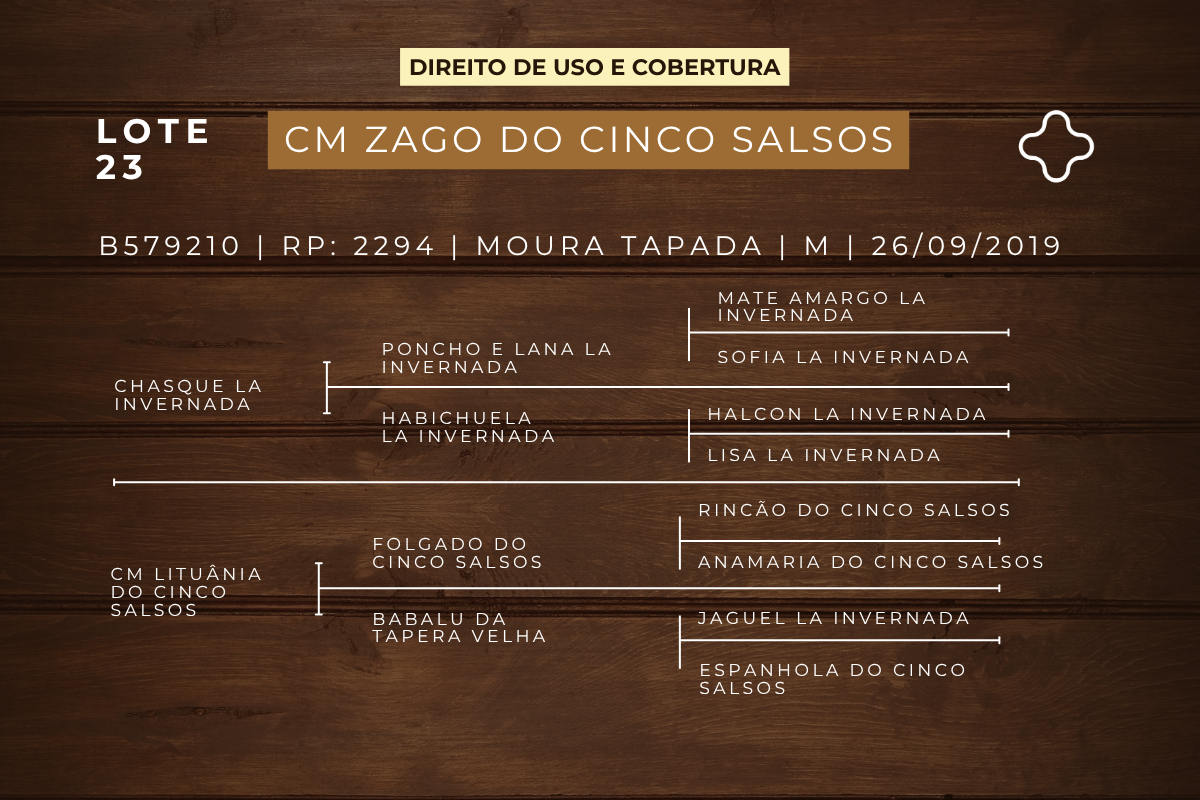 Geração DIREITO DE USO  5 COBERTURAS CM ZAGO DO CINCO SALSOS