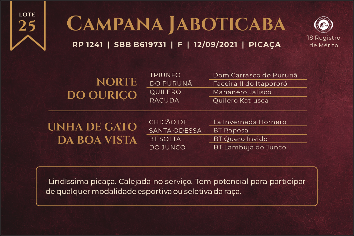 Geração CAMPANA JABOTICABA