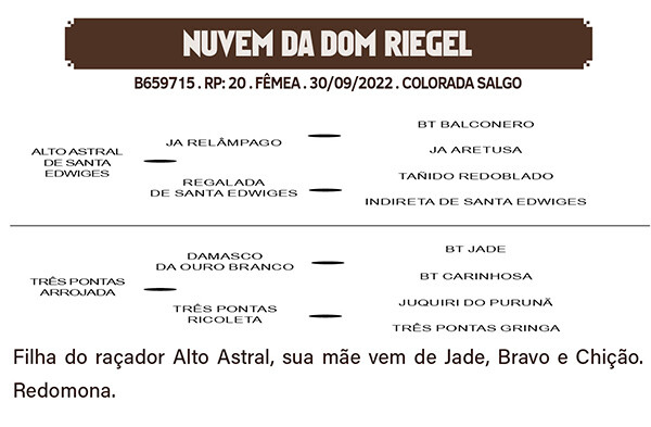 Geração NUVEM DA DOM RIEGEL