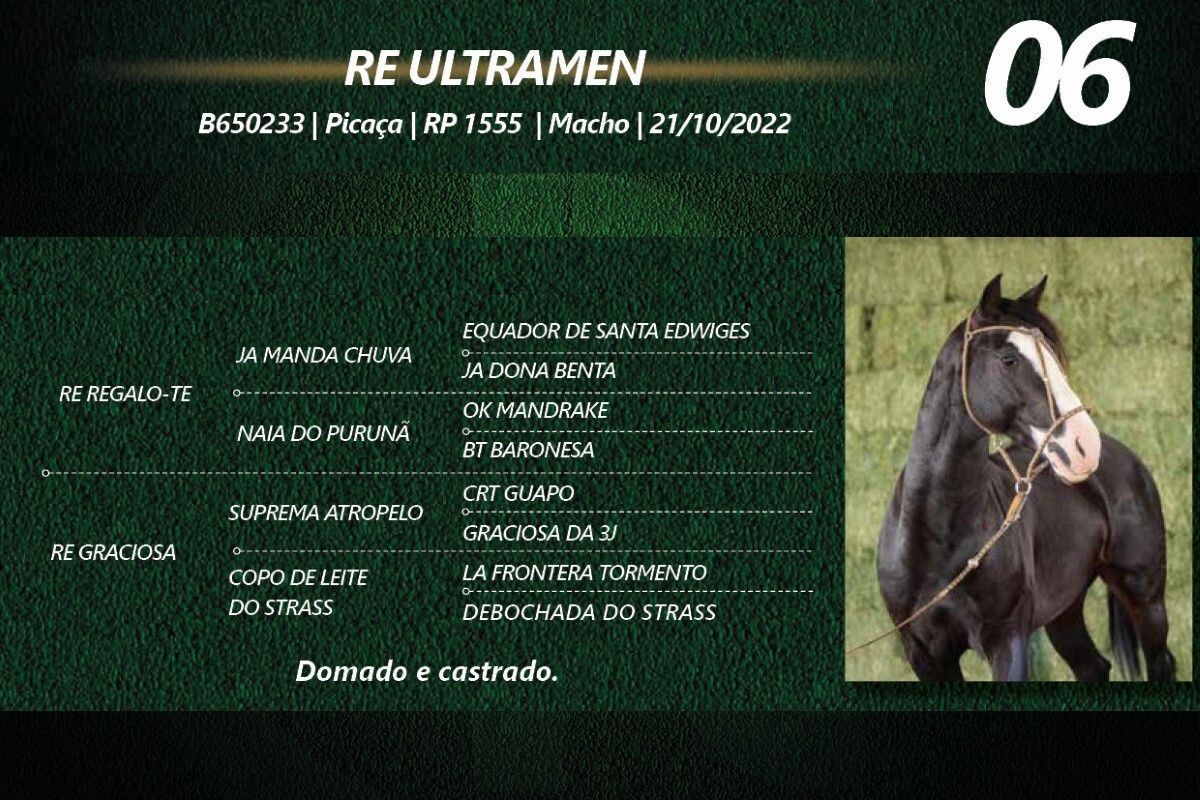 Geração RE ULTRAMEN