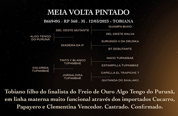 Geração MEIA VOLTA PINTADO