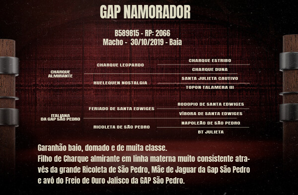 Geração GAP NAMORADOR
