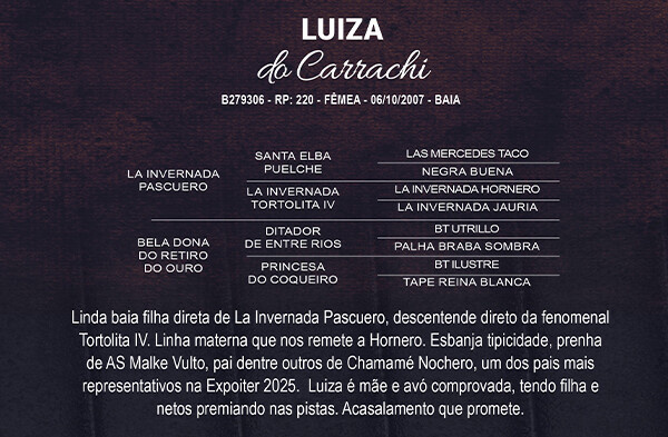Geração LUIZA DO CARRACHI 