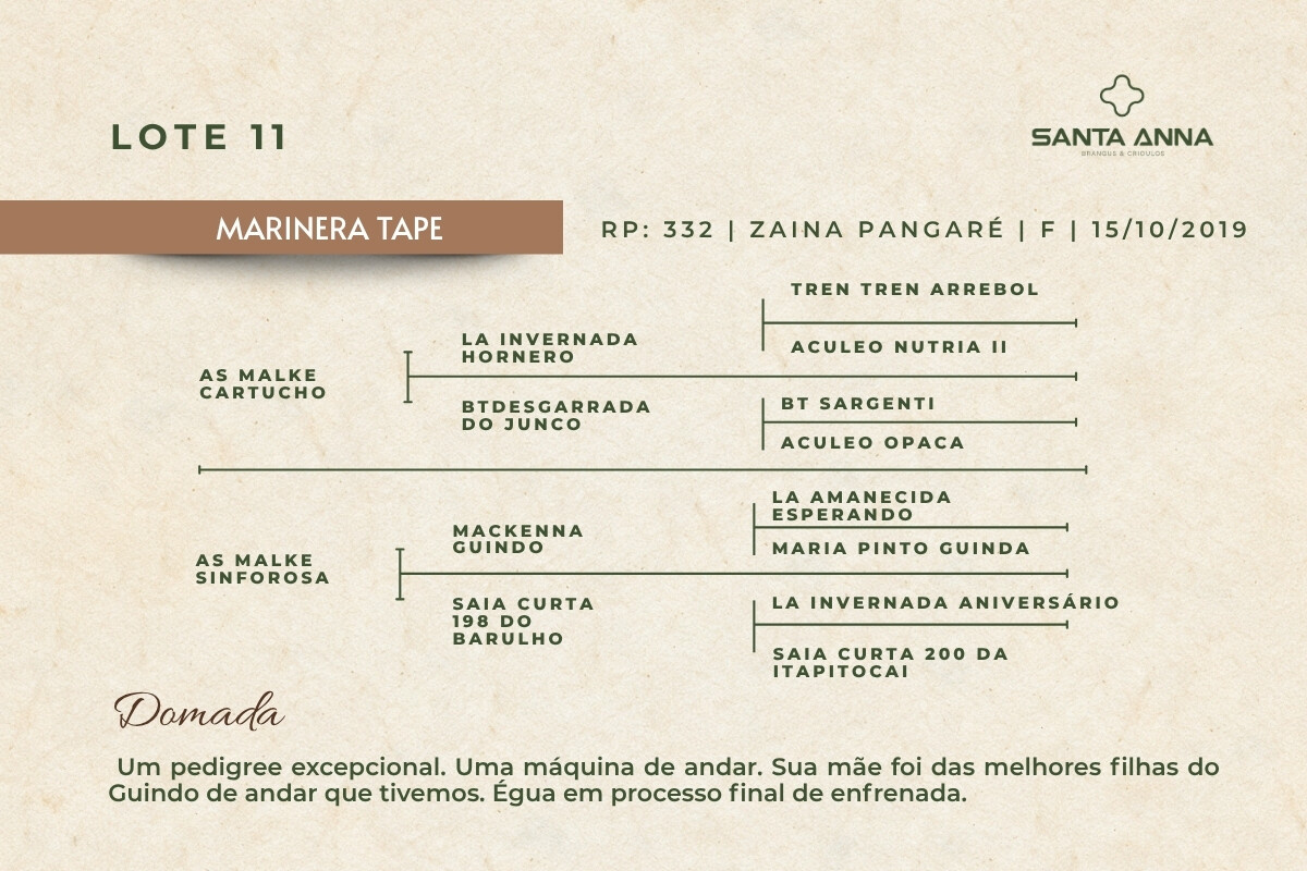 Geração MARINERA TAPE