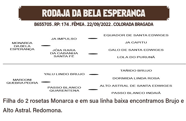 Geração RODAJA DA BELA ESPERANÇA