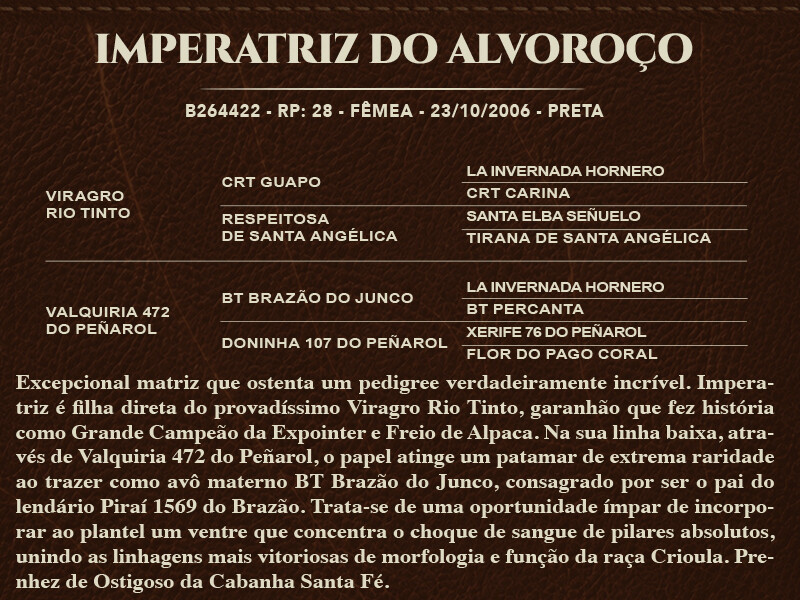 Geração IMPERATRIZ DO ALVOROÇO