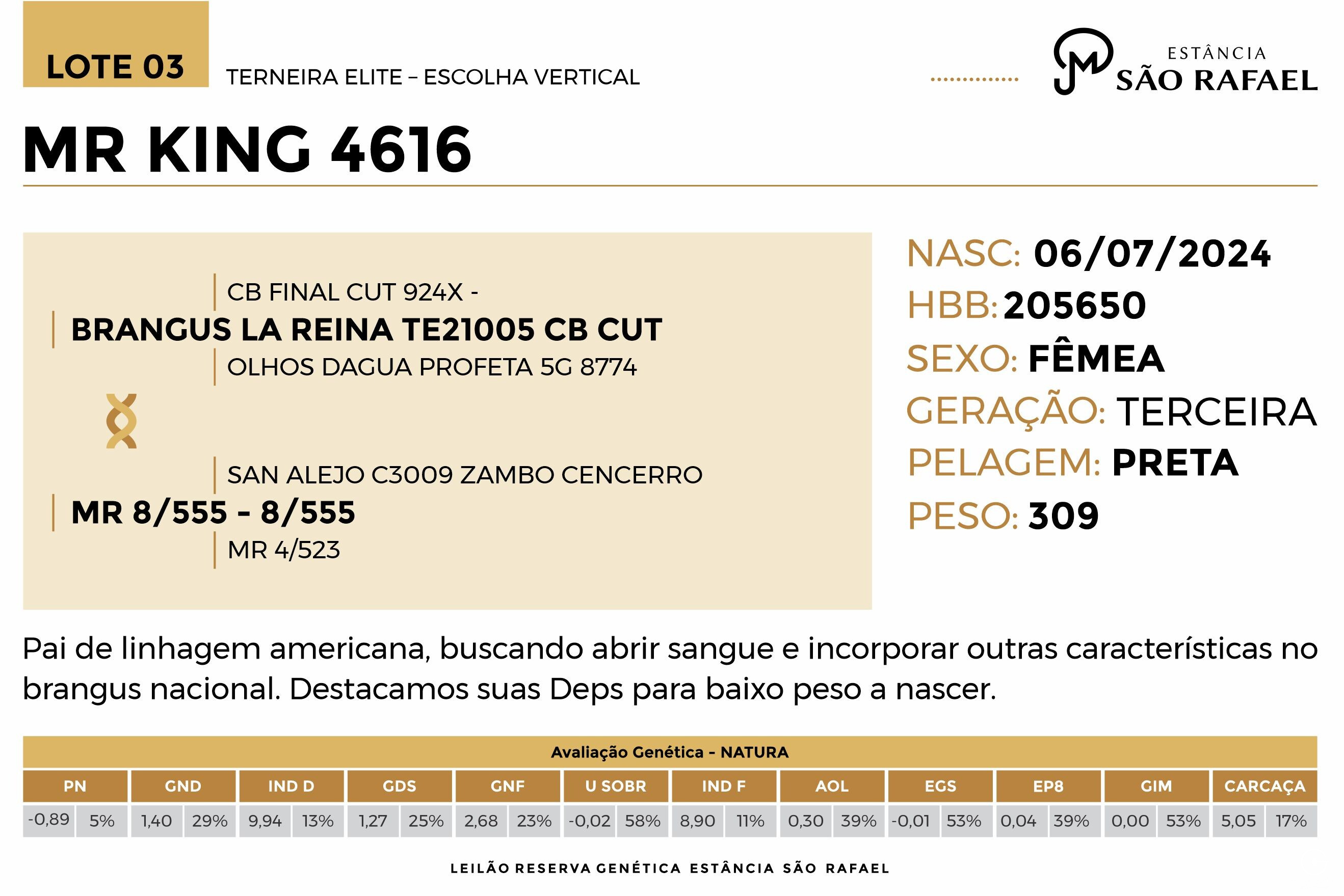 Geração MR KING 4616 - VENDA VERTICAL