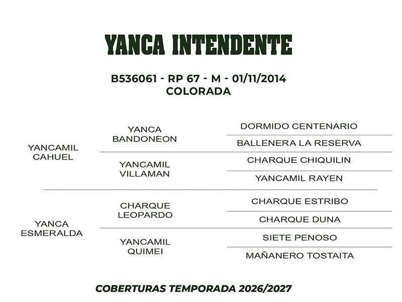 Geração COBERTURA YANCA INTENDENTE 