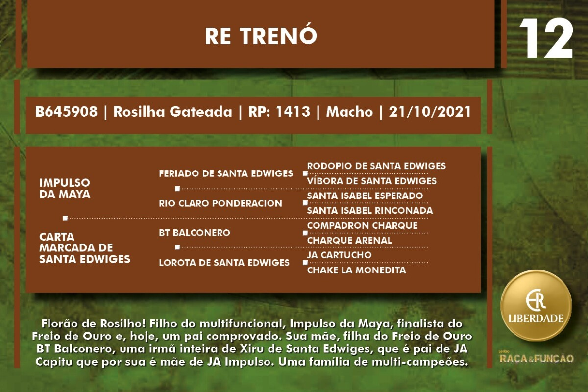 Geração RE TRENÓ