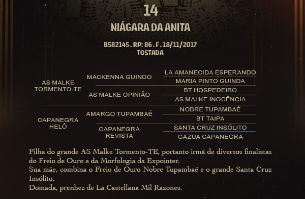 Geração NIÁGARA DA ANITA