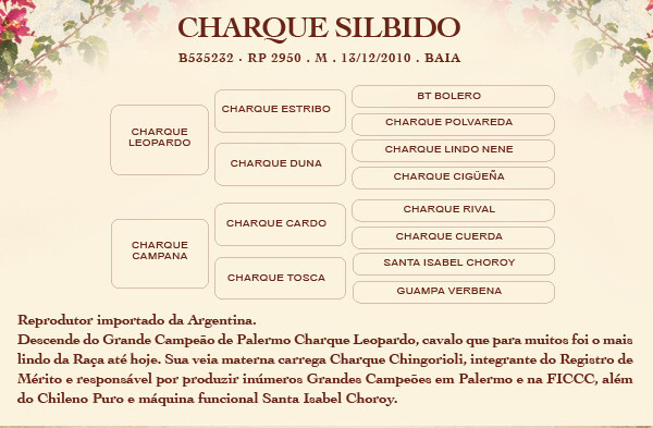 Geração COTA CHARQUE SILBIDO 