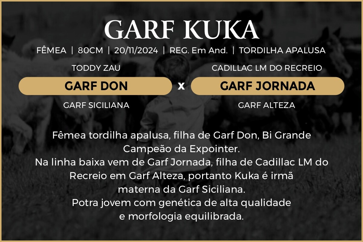 Geração GARF KUKA
