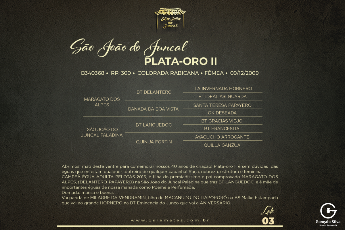 Geração SÃO JOÃO DO JUNCAL PLATA-ORO II