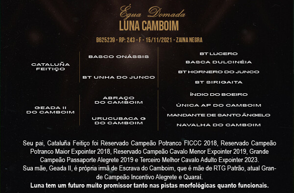 Geração LUNA  CAMBOIM