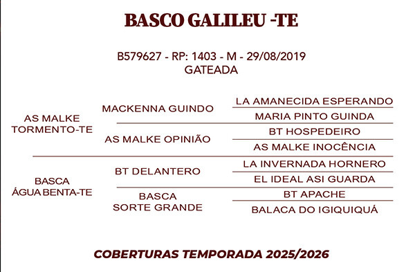 Geração BASCO GALILEU - TE 