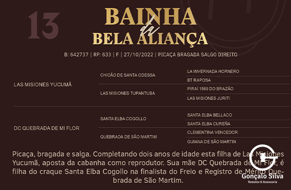 Geração BAINHA DA BELA ALIANÇA