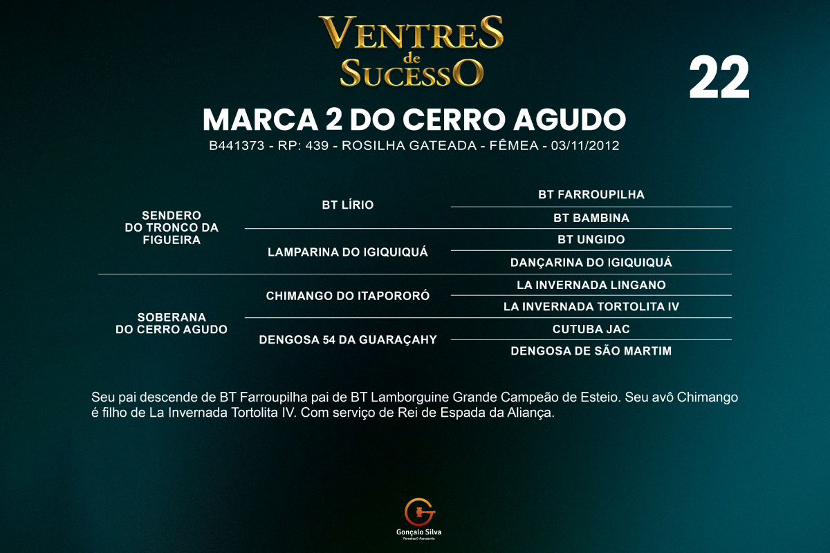 Geração MARCA 2 DO CERRO AGUDO