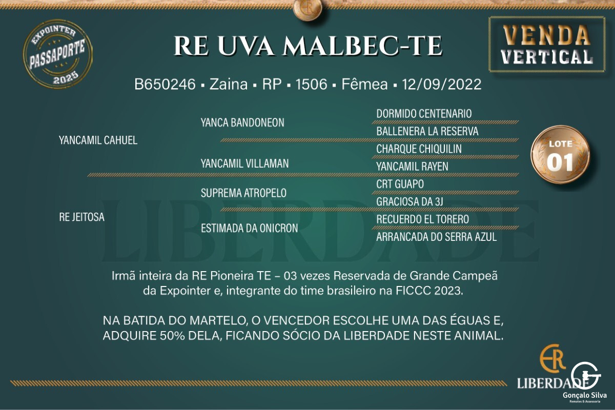 Geração RE UVA MALBEC-TE (Venda Vertical de 50%)