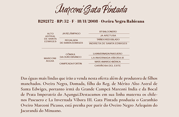 Geração MARCONI GATA PINTADA