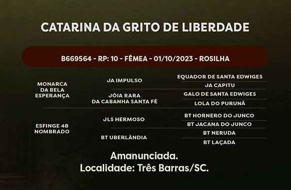 Geração CATARINA DA GRITO DE LIBERDADE