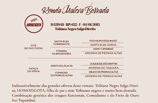 Geração RONDA MALEVA BORRADA