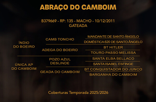 Geração ABRAÇO DO CAMBUIM