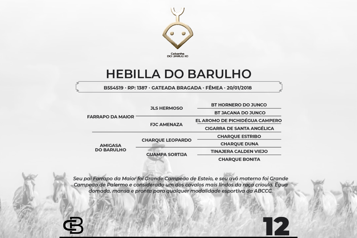 Geração HEBILLA DO BARULHO