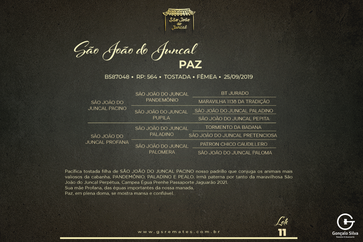 Geração SÃO JOÃO DO JUNCAL PAZ