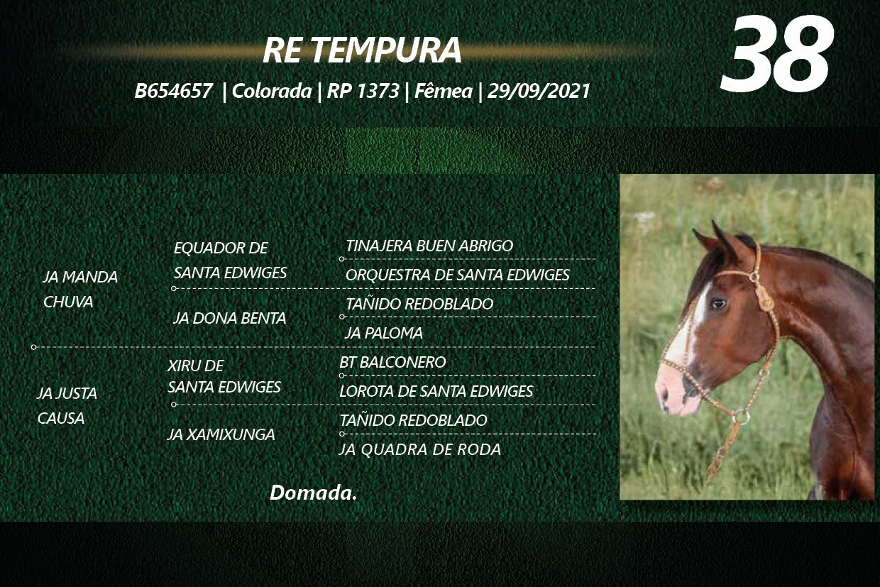 Geração RE TEMPURA